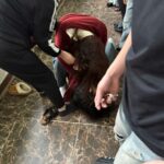 Video hiện trường bé ba bị sử đẹp ngay tại cty