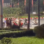 Video Các chú báo con mang theo giáo mác chạm chán nhau